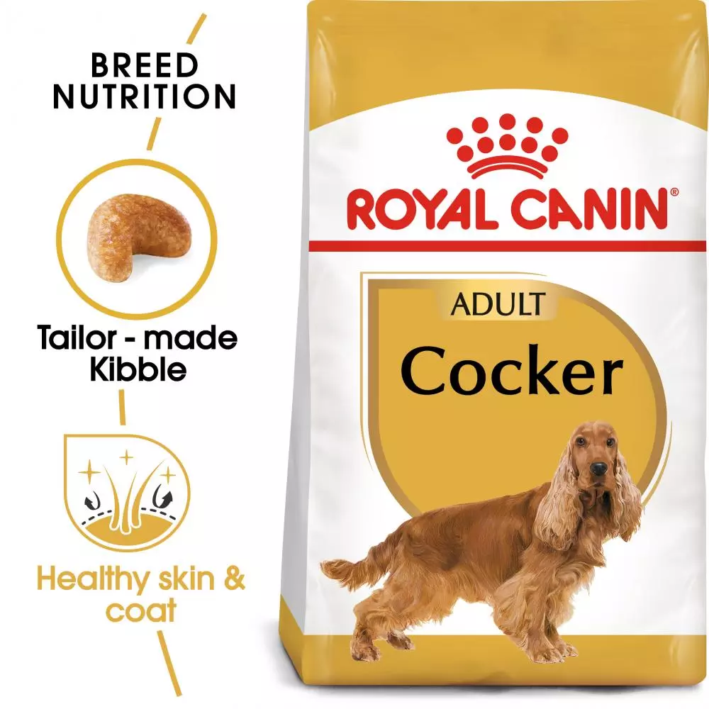 Royal Canin Adult Cat Dry Food